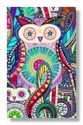 owl password journal