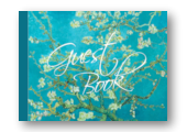 party guest book amazon