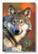 timber wolf journal on amazon
