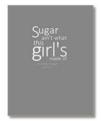 monthly budget planner book plain