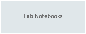 Lab Notebooks